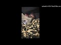 Wham Whammie Remix X SwangL5K