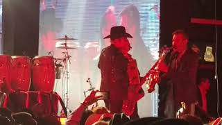 Los Tigres del Norte - Rosita de Olivo