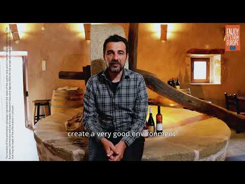 Gold Quality - European PDO/PGI wines from Crete