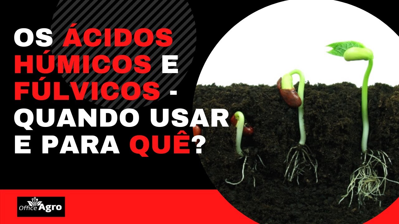 Os Ácidos Húmicos e Fúlvicos - Quando usar e para QUÊ?.