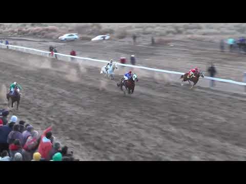 GITANA  Club Hípico Añelo - Añelo - 16-07-2023