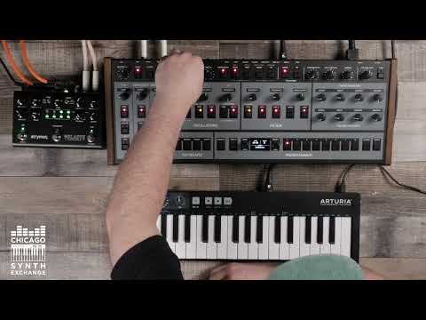 OB-X8 Desktop & Stymon Volante // Just Sounds