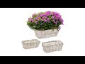 Rechteckiger Blumentopf im 3er Set Braun - Weiß - Metall - Kunststoff - Rattan - 35 x 13 x 19 cm