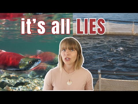 Marine biologist weighs in on the farmed salmon vs wild salmon debate