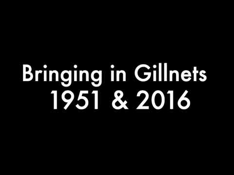 Gill Netting  on Lake Erie - The Past and Present