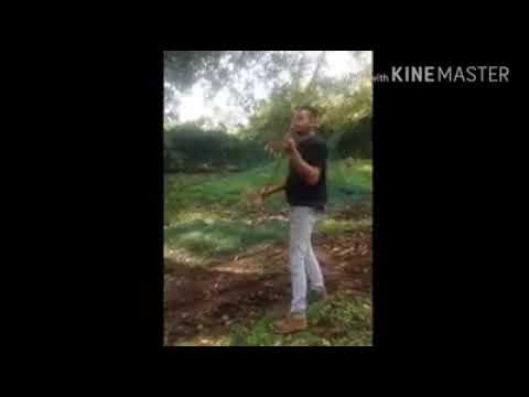 Batti le mani schiocca le dita fumo reato tutta la vita......con parodia😂😂