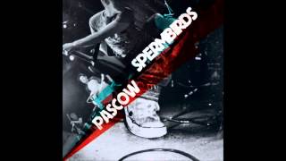 Pascow - Spraypaint The Walls (Cüntsler Cover)