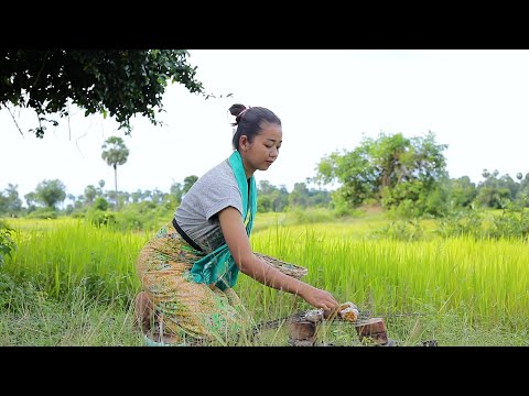 Rural smart girl cook delicious roast frog On rice field