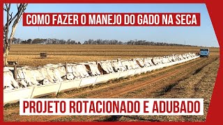 COMO FAZER O MANEJO DO GADO NA SECA - Projeto ROTACIONADO e ADUBADO para BOVINOS DE CORTE