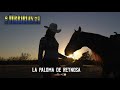 Los Terribles Del Norte - Corrido La Paloma De Reynosa (Audio Oficial)