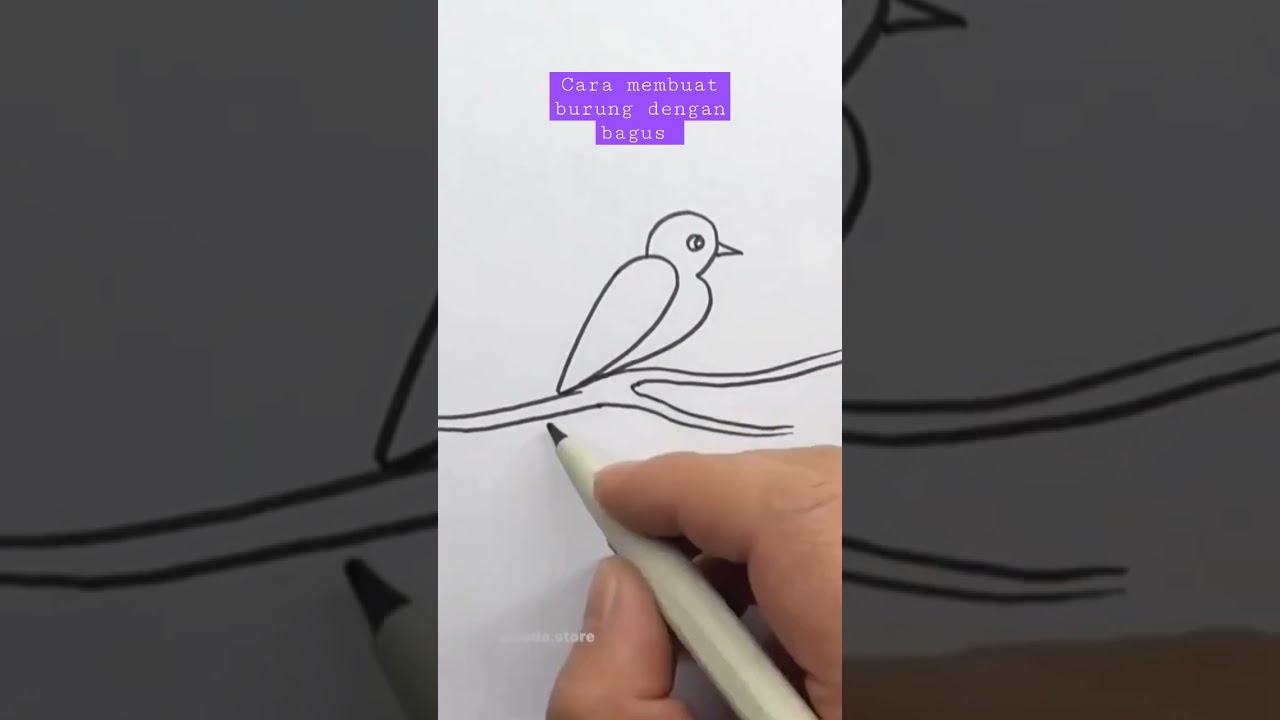 trik membuat gambar burung dengan bagus