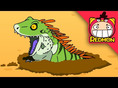 Iguana vs Snake | Animal Battle | 4K cartoon | REDMON