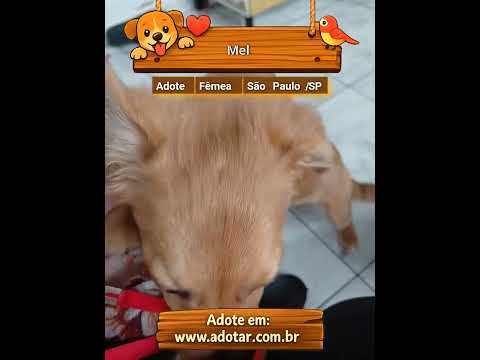 Vídeo de Mel