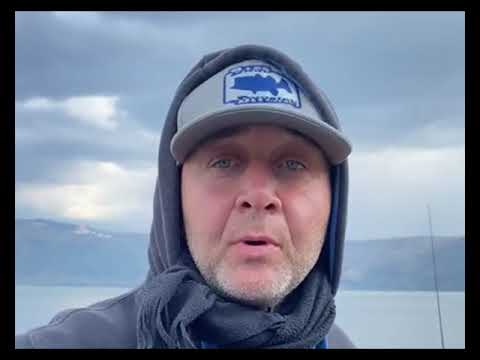 Vanno a pesca sul lago e vengono assaliti da un cinghiale: un ferito