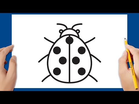Comment dessiner une coccinelle
