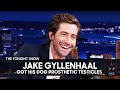 Jake Gyllenhaal's Dog Has Fake Balls | The Tonight Show Starring Jimmy Fallon