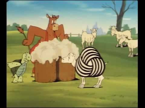 In de weer met een beer - Boes