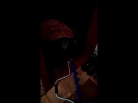 муж пришел с рыбалки домой