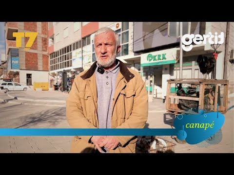 16 vite mësimdhënës, tani merret me tregti të pulave | Canapé | T7