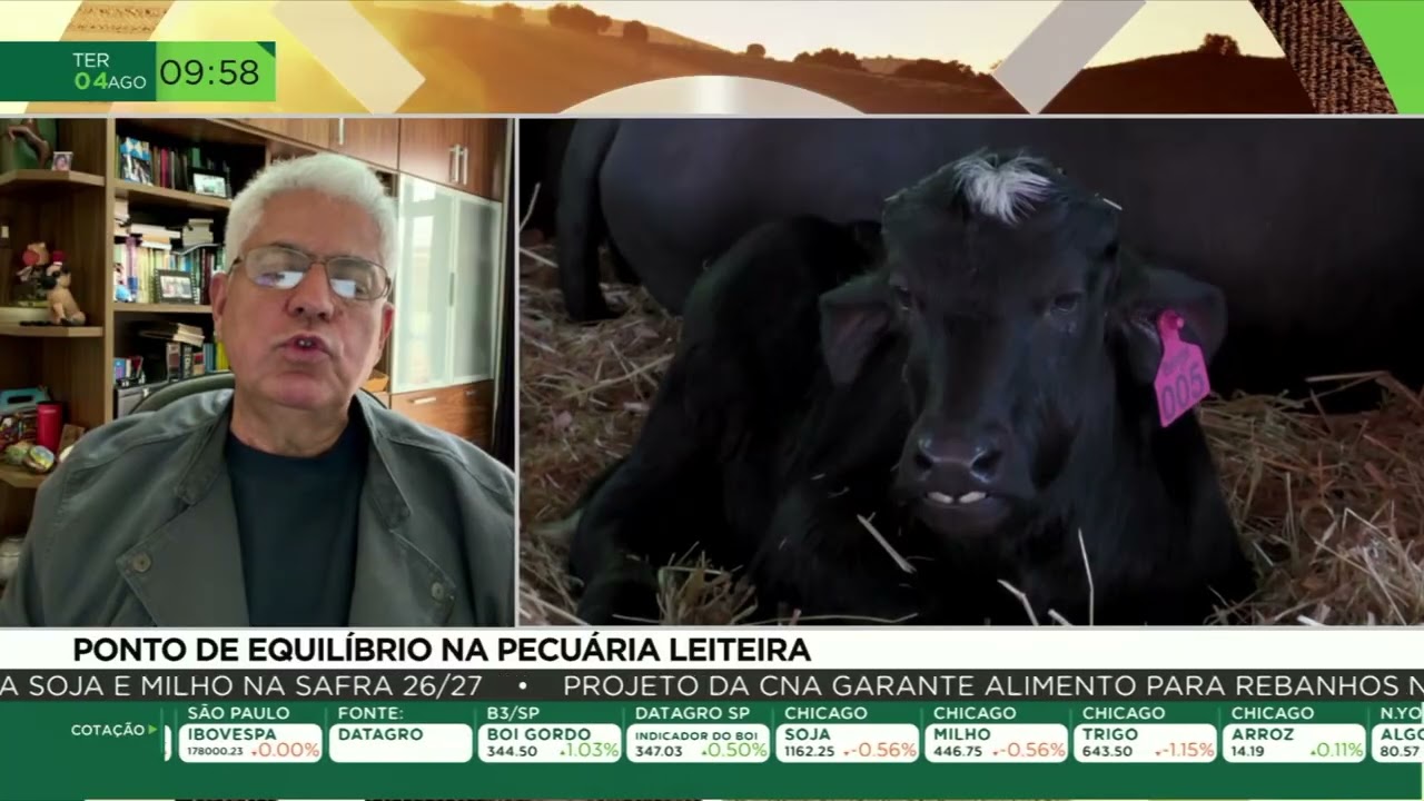 Ponto de equilíbrio pode definir o lucro na pecuária leiteira