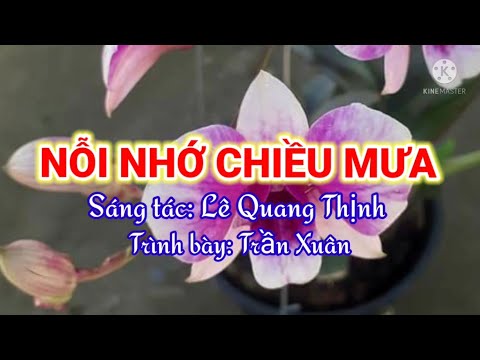 Nỗi nhớ chiều mưa - Trần Xuân