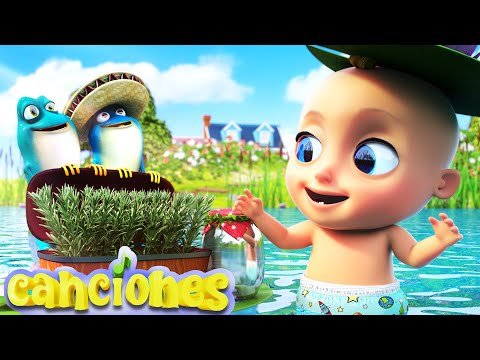 CU CÚ CANTABA LA RANA +  Debajo de un Botón las mejores Canciones infantiles | LooLoo