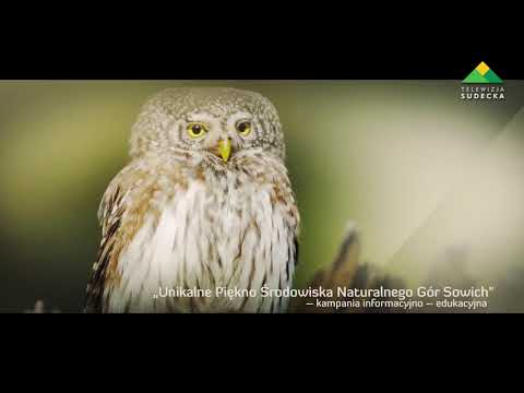 FILM O GÓRACH SOWICH NAGRODZONY NA FESTIWALU FILMÓW EDUKACYJNYCH