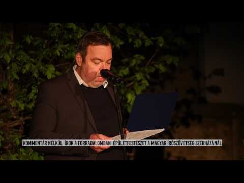Írok a forradalomban 2017
