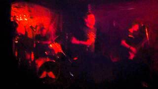 Mustard Plug SKank by Numbers