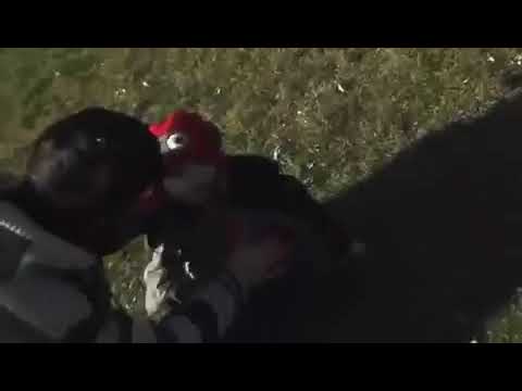 Eagle attacks Baby / Adler greift Baby an