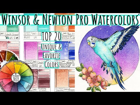 Top 20 Winsor and Newton Professional Watercolor Review 109 Dot Card – Einzigartige und granulier...