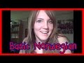 Norway - The Basic Language