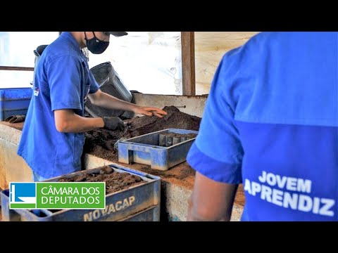 PL 6461/19 - Estatuto do Aprendiz - 07/12/2022