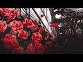 Thenmozhi Slowed Reverbed