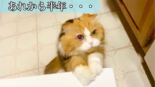 突然のお別れ、、あれから半年… 嬉しい出来事がありました
