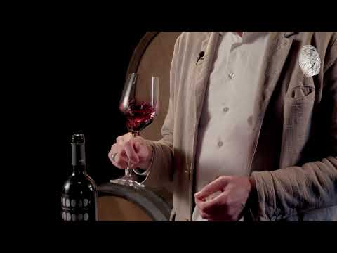 ALPASION GRAND MALBEC with Master of Wine Cees van Casteren - Virtual Sommelier Series