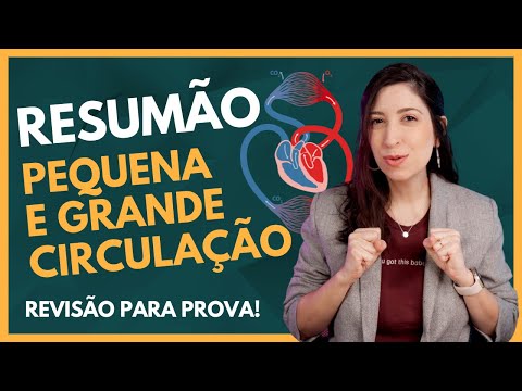 Resumão: PEQUENA E GRANDE CIRCULAÇÃO