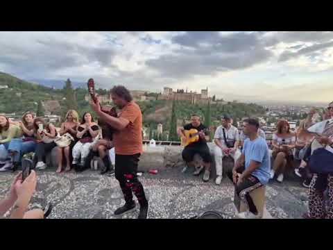 Chipirón de granada el gitano 