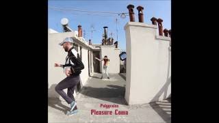 Polygrains - Slipping Spectre