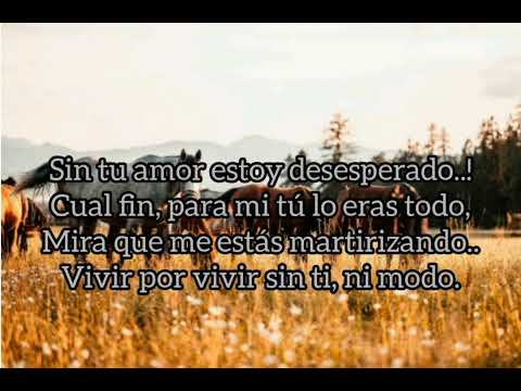 Mi Desesperación - Dario Gómez (Letra)