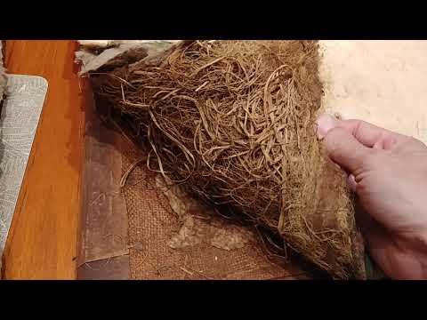 Antique chippendale chair part 4