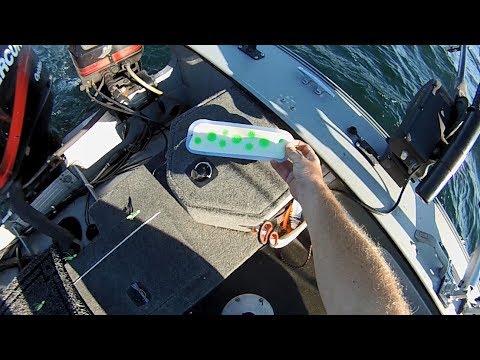 NFN's - Big Johnson Blades from Big Weenie Brand New Salmon Flasher Paddle Downrigger Camera view