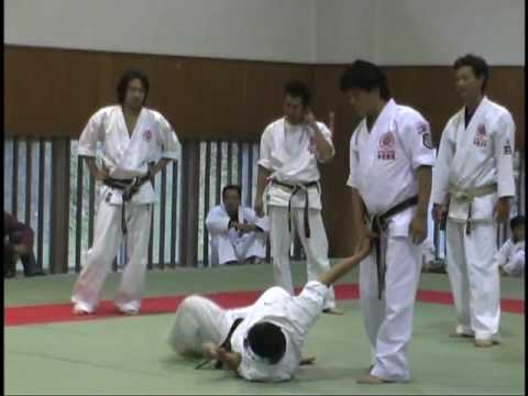 中西伸治最高総師範による気の術　レベル１