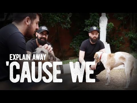 Explain Away - 'Cause We [Official Music Video]