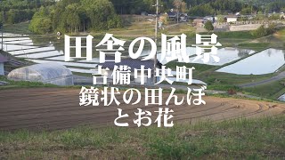 癒し　岡山県加賀郡吉備中央町　田んぼとお花と鳥の囀りそして古民家
