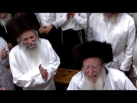 ריקודים בקלויז אומן מוצאי ראש השנה תשע"ג ר' אלעזר קניג ז"ל ור' נחמן בורשטיין ז"ל, ר' חיים מן ז"ל