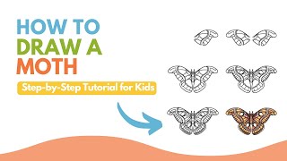 How to Draw a Moth - Beautiful Insect Drawing Guide for Beginners