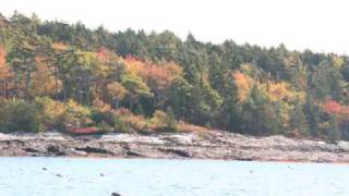 preview picture of video 'Fall Sail in Maine'
