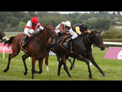 Baden-Baden: Coolmore Stud Baden-Baden Cup (Listenrennen)