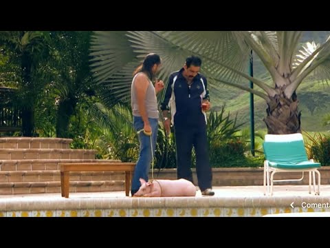 Guadaña le regala un marrano por navidad al Cabo